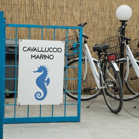 Cavalluccio Marino Leilighet Favignana Eksteriør bilde